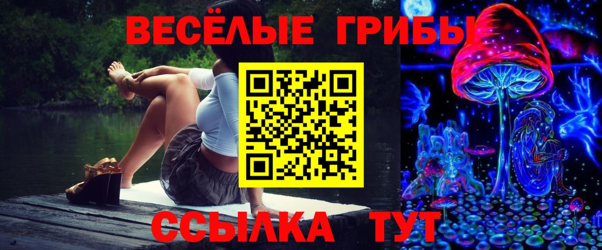 Галлюциногенные грибы мицелий Холмск